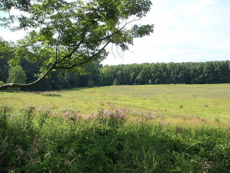 085 Longwood Gardens [2008 August 23].JPG - Longwood Gardens in Pennsylvania